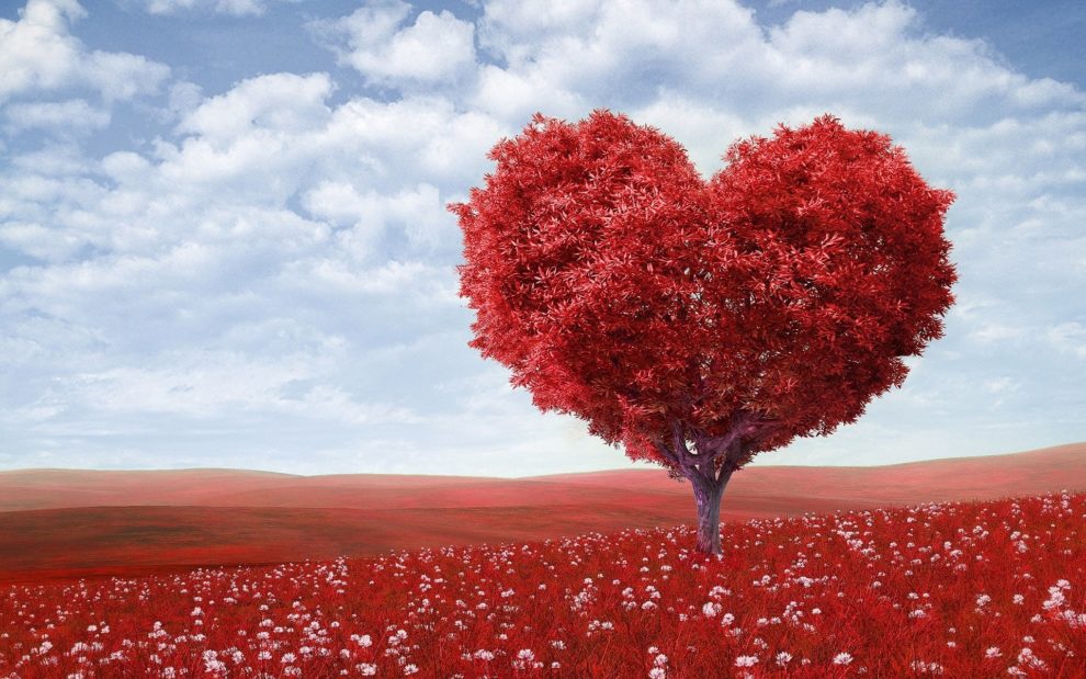 L'histoire de la Saint-Valentin : origines, dates clés et évolution d'une célébration universelle